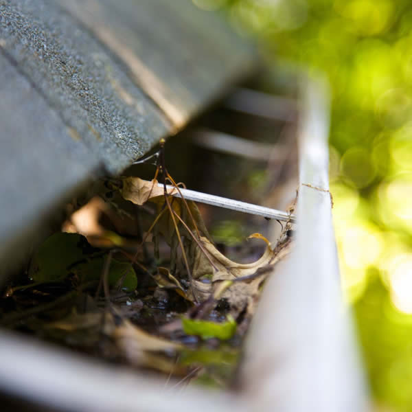 New England Softwash Gutter Cleaning Services in Northeast Massachusetts and Southeast New Hampshire